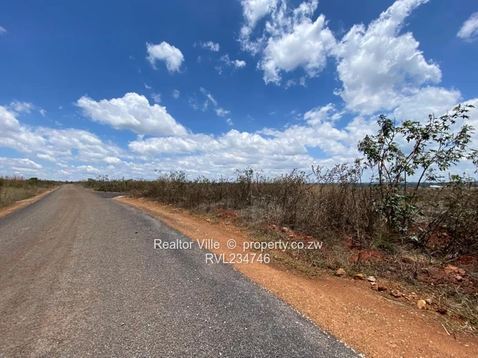 Nyeredzi Ridge Stands for Sale 