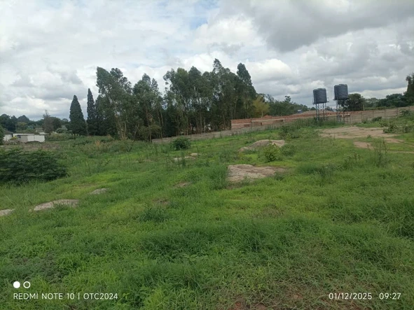 Stands & Residential Land