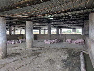 Farm & Agricultural Land