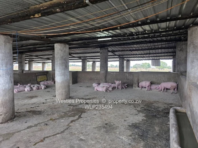 An opportunity not to miss