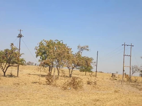 Farm & Agricultural Land