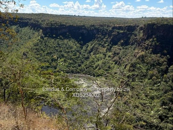 The Zambezi Gem — Where Nature Meets Prestige
