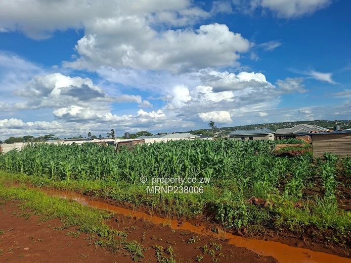 Crowhill Sawara Hills stand with slab for sale (Sole Mandate)