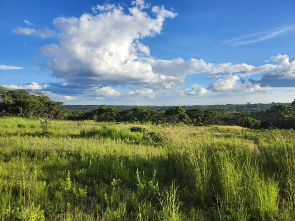 Farm & Agricultural Land