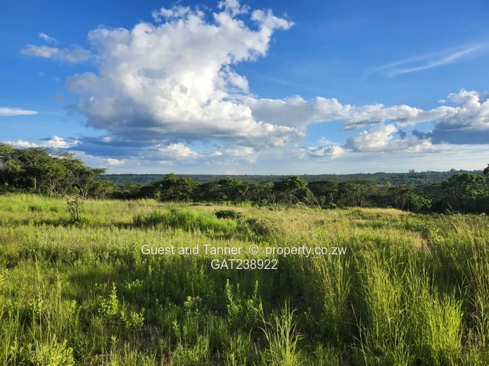 Ruwa Agro-Residential 1.64 Hectare Plot