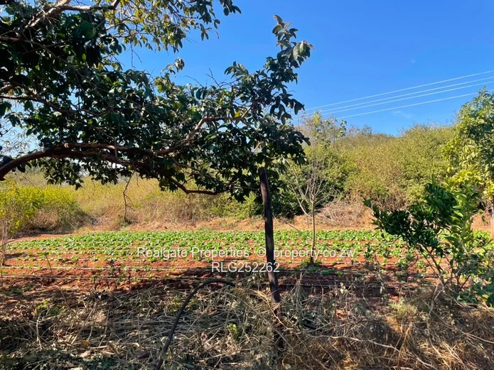  Prime 5-Acre Plot For Sale | Douglasdale