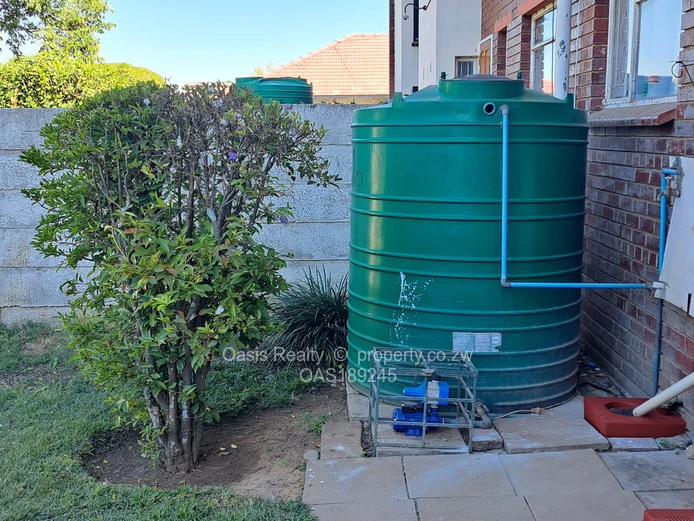 Neat garden flat to let in Avondale West