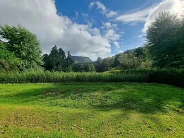 Farm & Agricultural Land