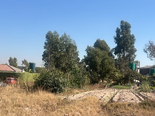 Stands & Residential Land
