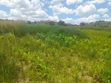 Stands & Residential Land