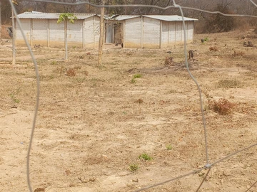 Farm & Agricultural Land