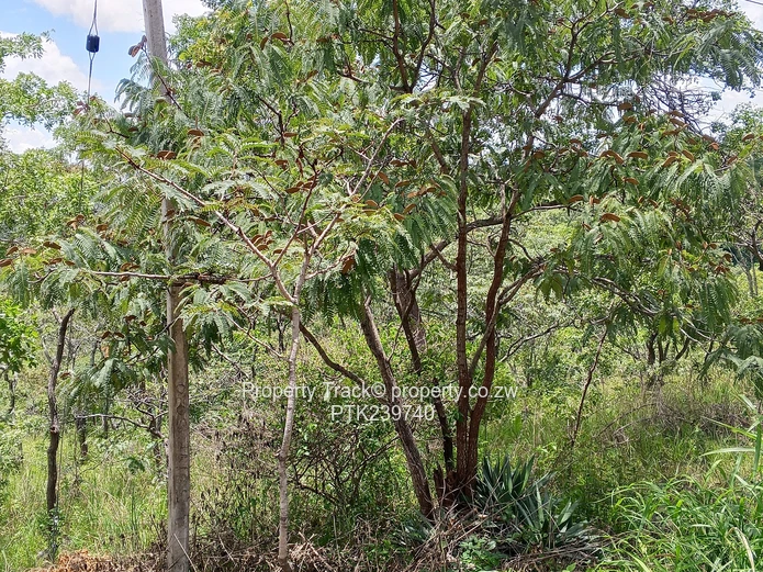 Excellently Positioned!