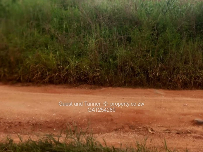Charlotte Brooke | Residential Stand For Sale – Us$20,000