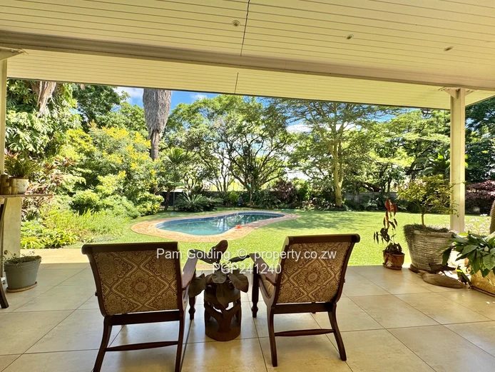 Alexandra Park - Seeing is believing 