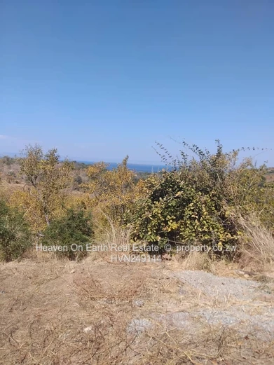 Good stand for sale
