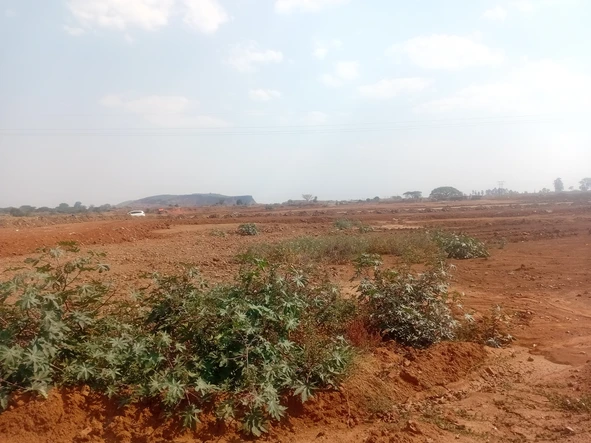 Commercial & Industrial Land