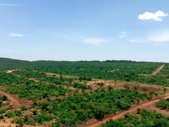 Stands & Residential Land