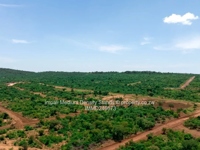 Introducing – “Impali Medium Density Stands