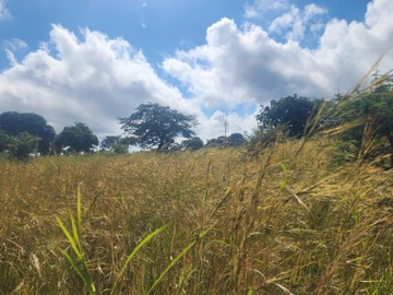 Farm & Agricultural Land