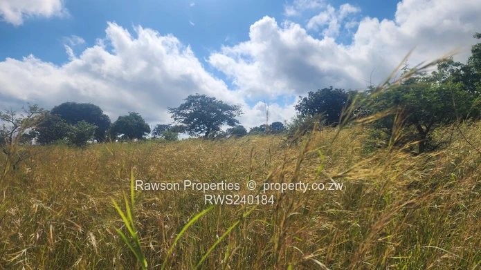 Subdivision  4.2 hectares pegged , road done  fully serviced  ideal for.all.farming activities 