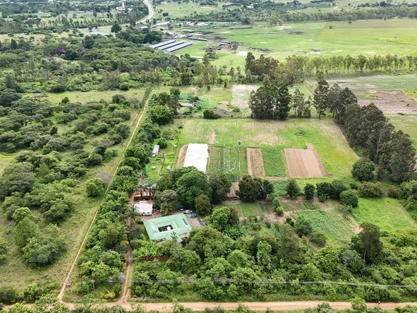 Farm & Agricultural Land