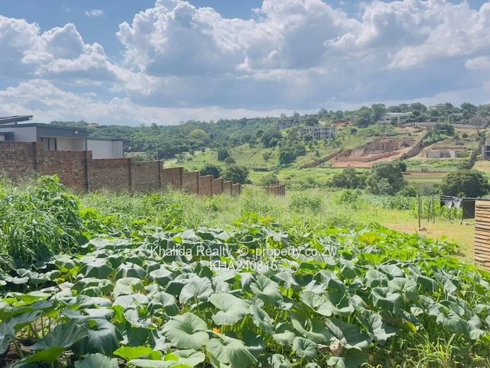 Prime Stand For Sale  In Glen Lorne