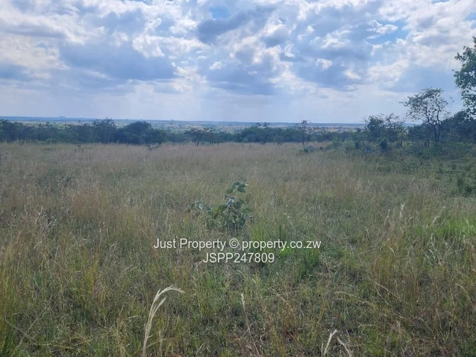 Wedza Primary and Secondary School stand