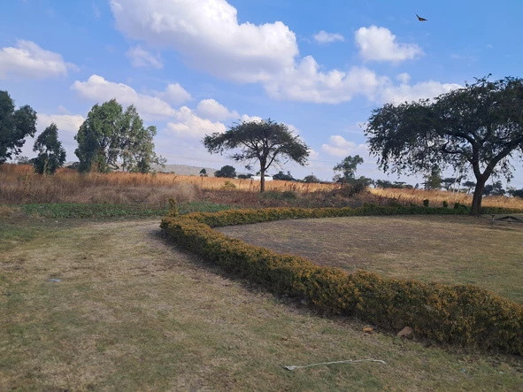 Commercial & Industrial Land