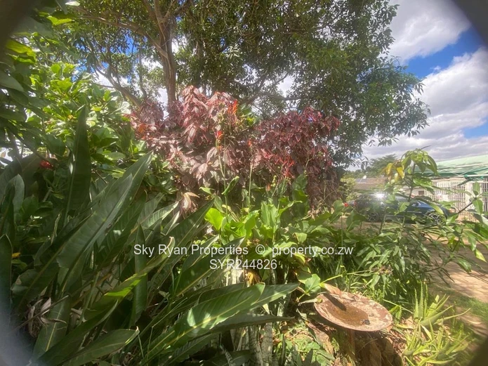 Avondale West Dilapidated House For Sale
