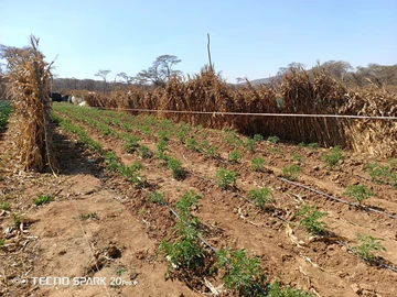 Farm & Agricultural Land