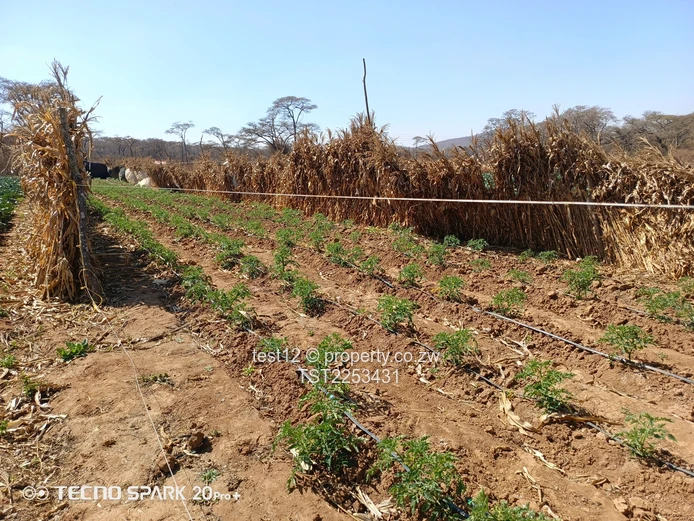 Mazowe Farm For Sale  (Sole Mandate)