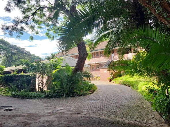 3 Bedroom Flat & Apartment