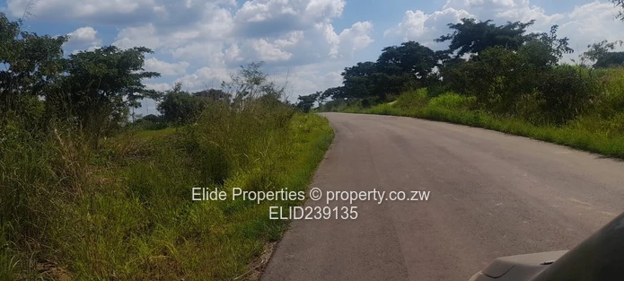 Pomona-Buckland Terrance Stand for Sale (Sole Mandate)