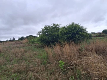 Commercial & Industrial Land