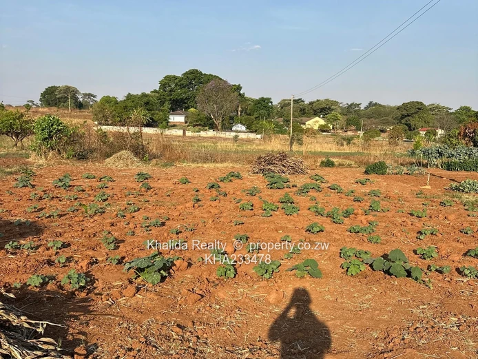 Orange Grove Property for Sale in Chinhoyi Argo-Residential  (Sole Mandate)