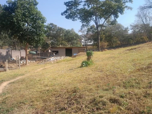 Stands & Residential Land
