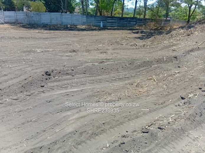 Quinington Stand For Sale