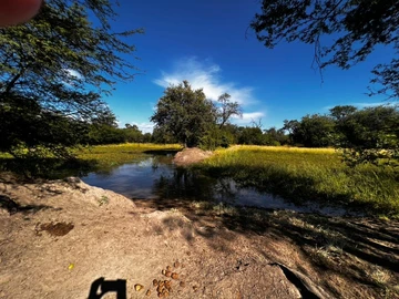 Farm & Agricultural Land