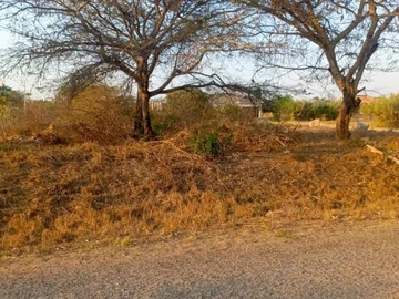 Land