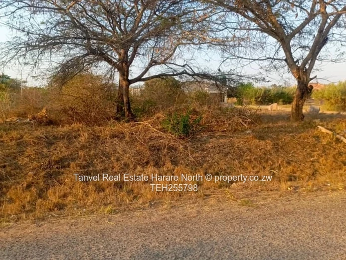 Arlington stand sitting on 2000sq, asking price of $170k