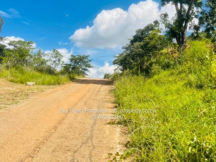 CARRICK CREAGH 2 STANDs FOR SALE