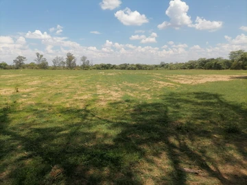 Farm & Agricultural Land