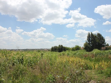 Commercial & Industrial Land