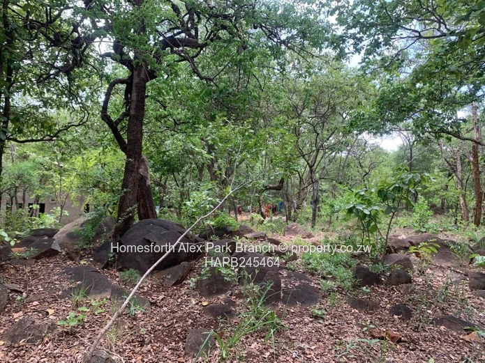 Darwendale Property On Sale