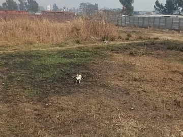 Commercial & Industrial Land