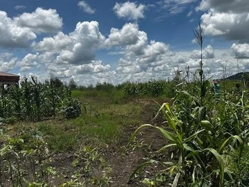 Build Your Dream Home