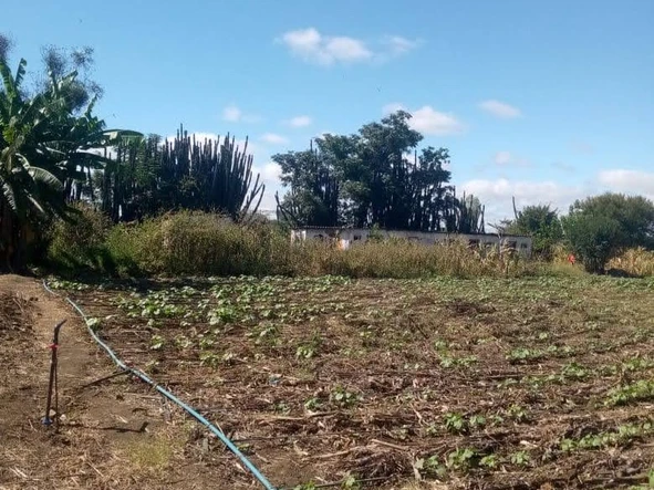 Farm & Agricultural Land