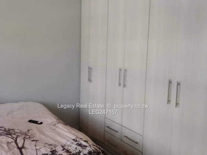 Neat and spacious apartment 