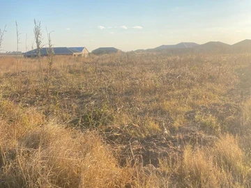 Stands & Residential Land