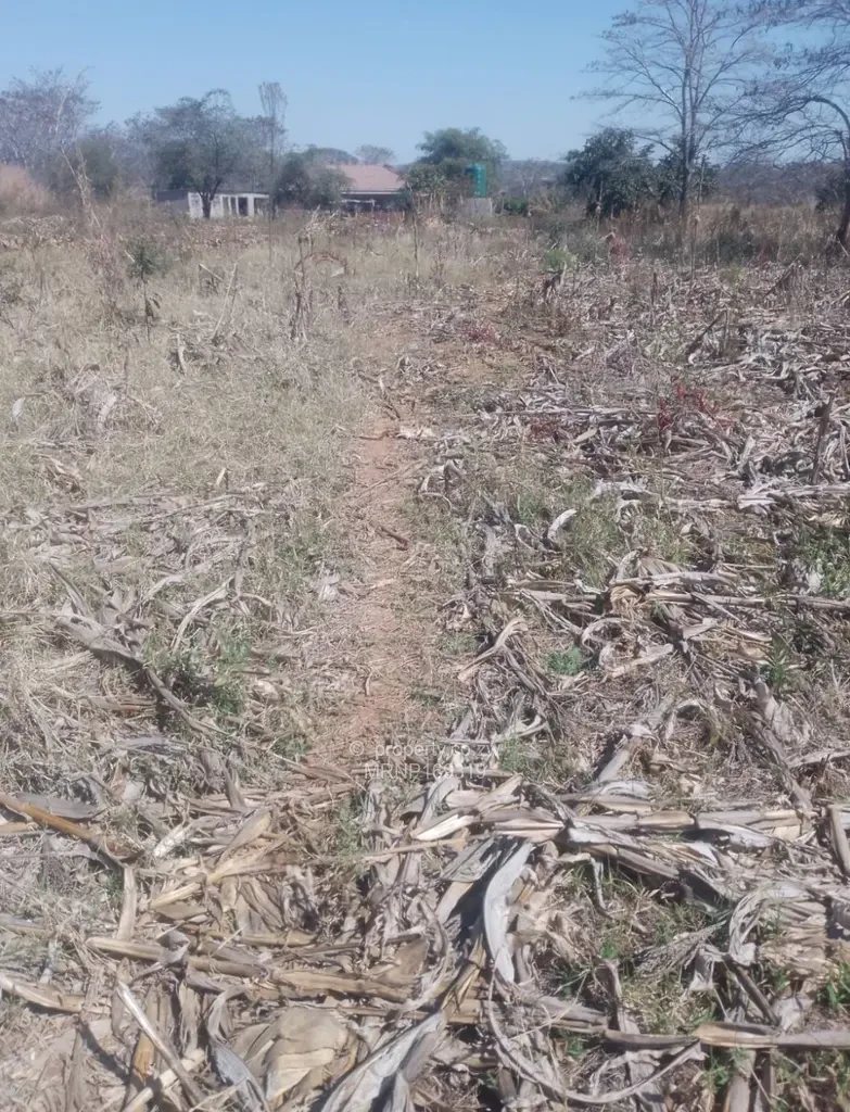 Stands & Residential Land for Sale in Bindura MRNP169319